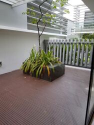 Illoura (D10), Terrace #411474501